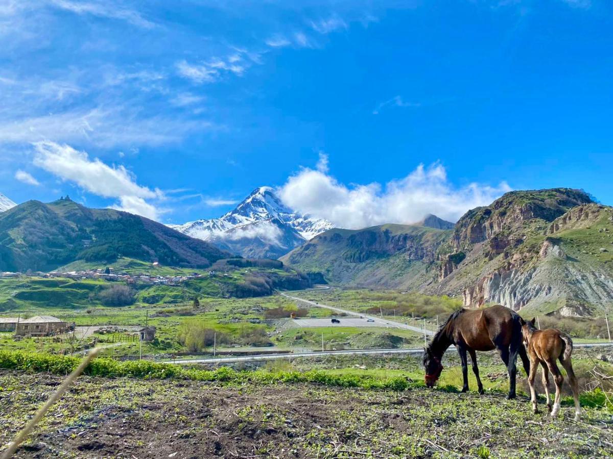Kazbegi Inn 外观 照片